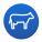 Animals: Cow